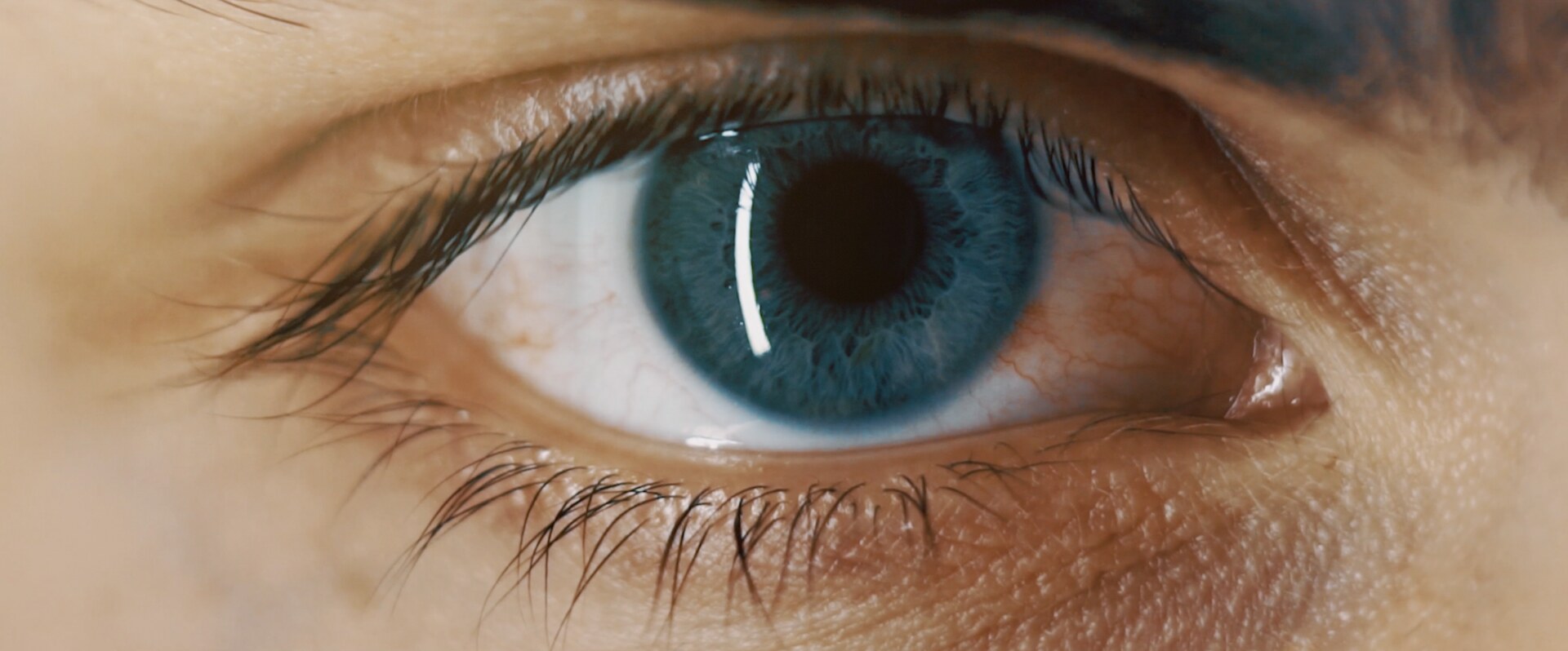 Ford Standort Imagefilm